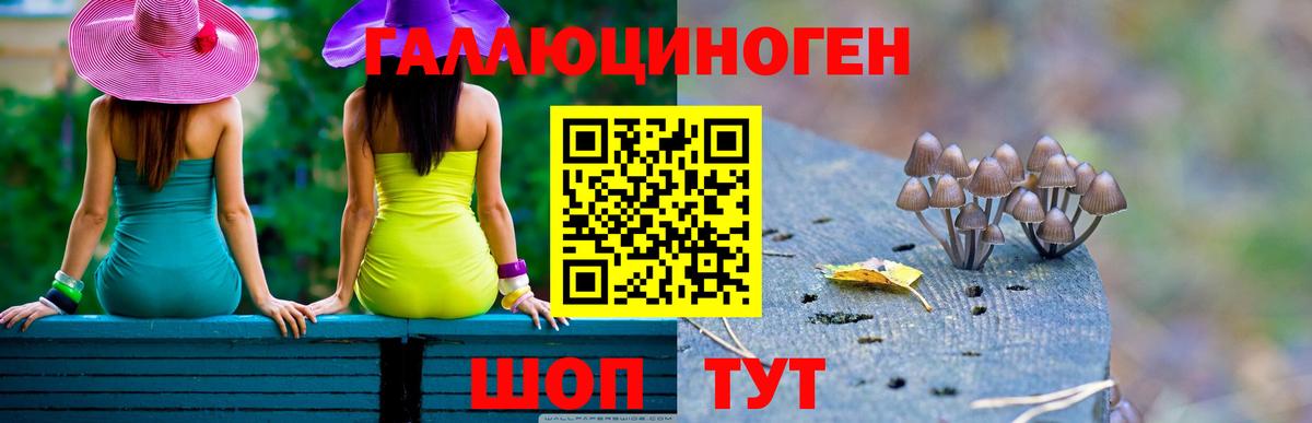 Псилоцибиновые грибы мицелий Ирбит